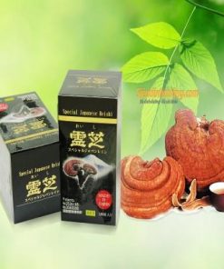 LINH CHI ĐỎ NHẬT BẢN (150 VIÊN/54.4GRAM)